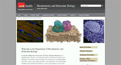 Desktop Screenshot of hbcg.utmb.edu